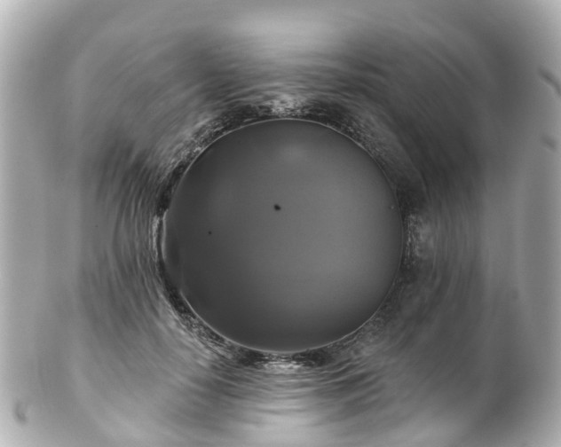 X0000100920650200807011308