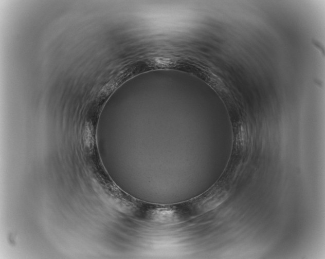 X0000100920651200807011308