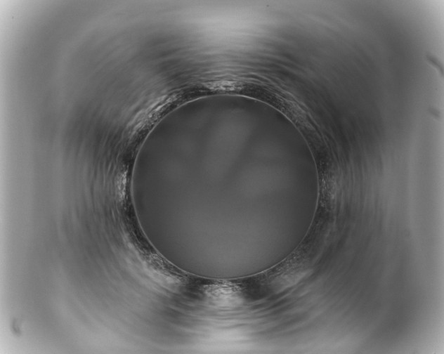 X0000100920652200807011308