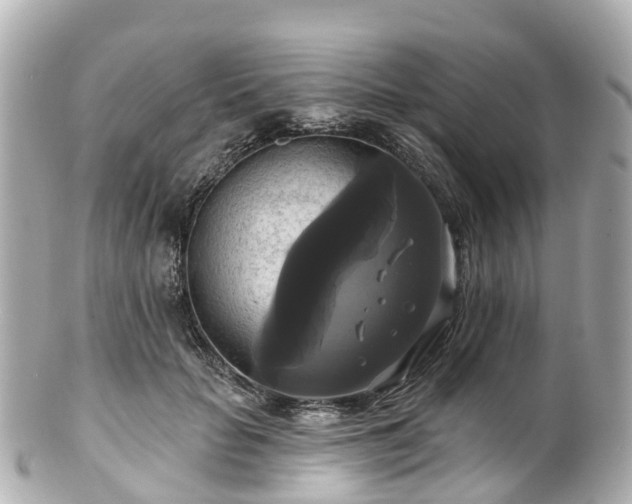 X0000100920653200807011308