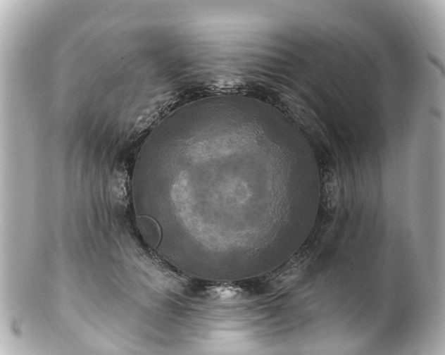 X0000100920654200807011308