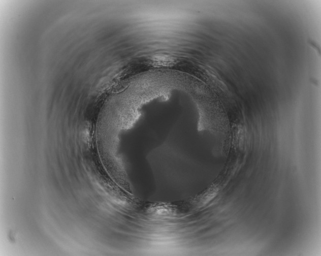 X0000100920655200807011308