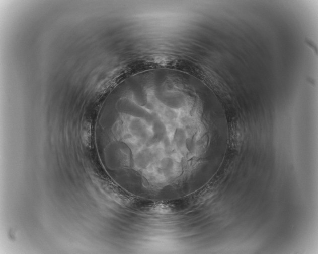 X0000100920656200807011308