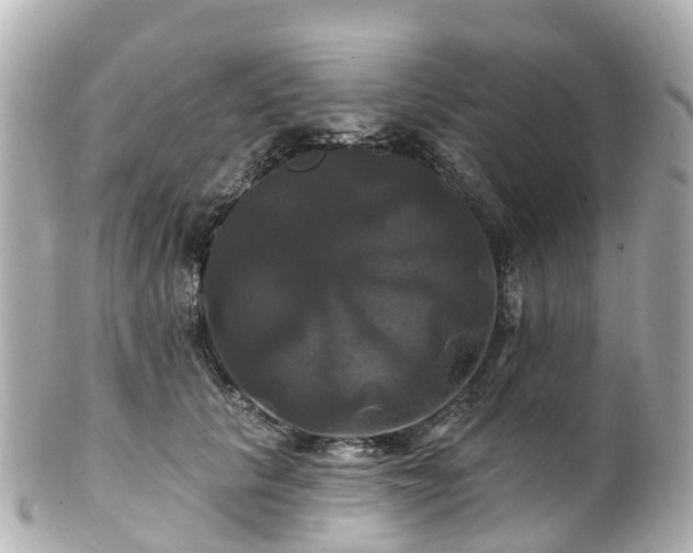 X0000100920657200807011308