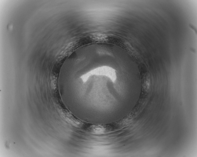 X0000100920658200807011308