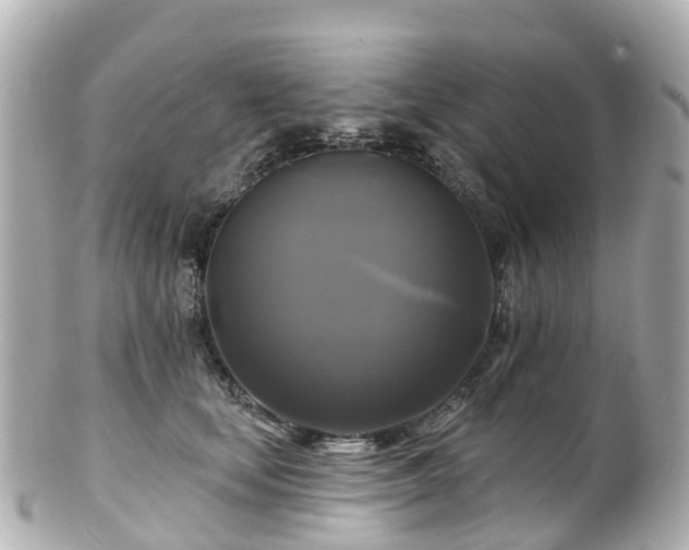 X0000100920659200807011308