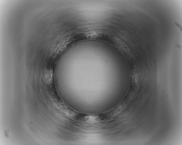 X0000100920660200807011308