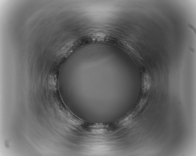 X0000100920661200807011308