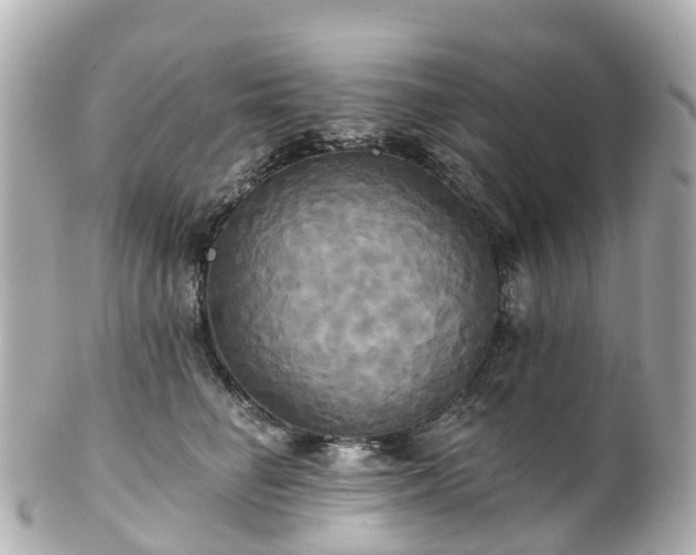 X0000100920662200807011308