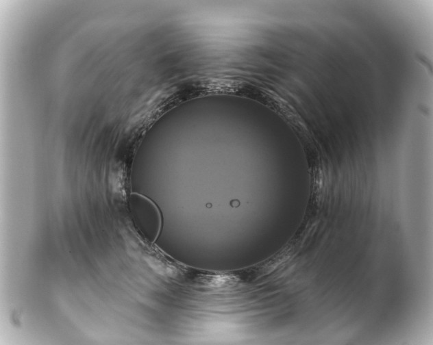 X0000100920663200807011308