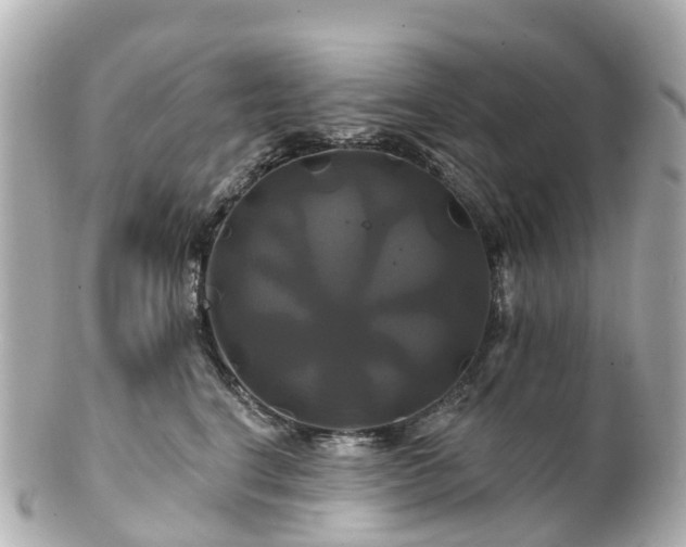 X0000100920664200807011308