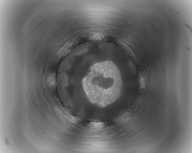 X0000100920665200807011308