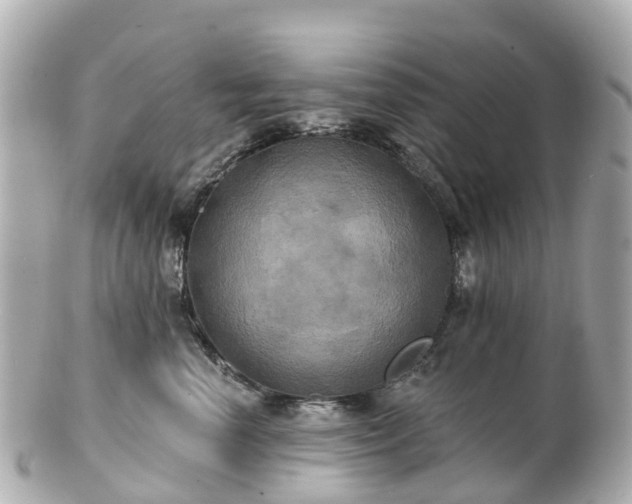 X0000100920666200807011308