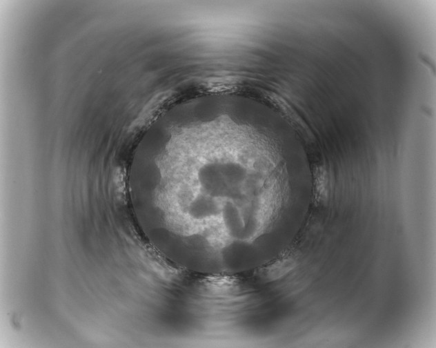 X0000100920667200807011308