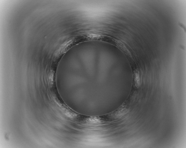 X0000100920668200807011308