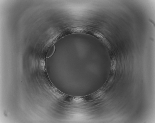 X0000100920669200807011308