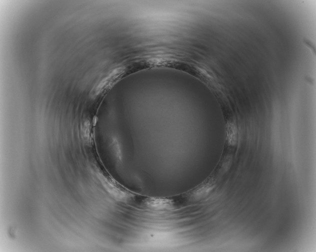 X0000100920670200807011308