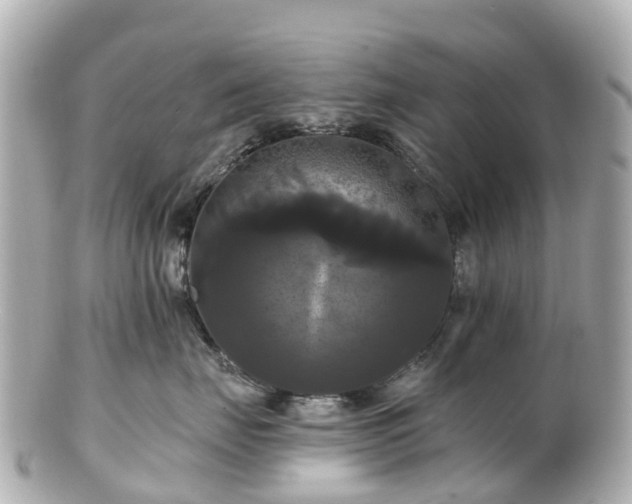 X0000100920671200807011308