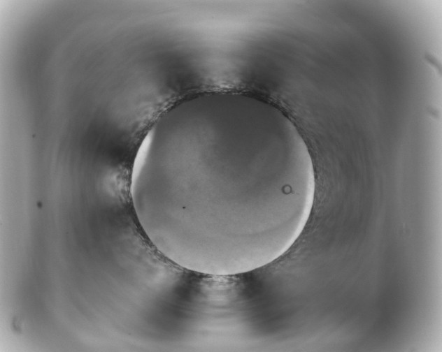 X0000100920672200807011308