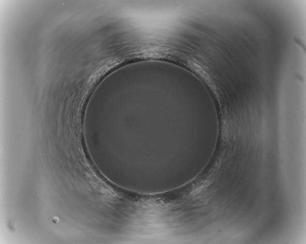 X0000100920673200807011307