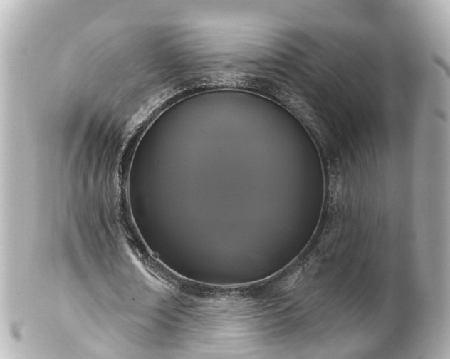 X0000100920674200807011307