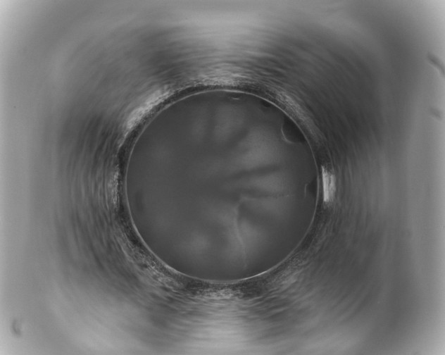 X0000100920675200807011307