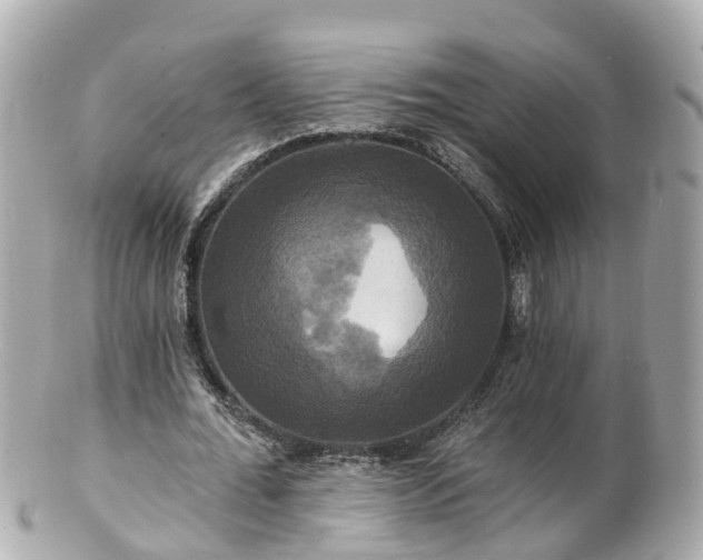 X0000100920676200807011307