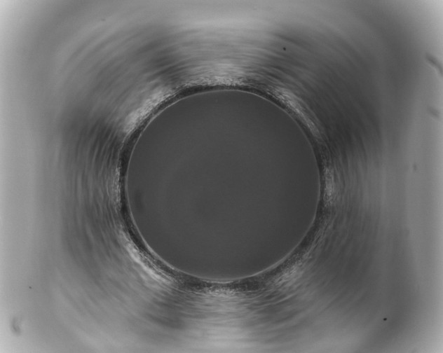 X0000100920677200807011307