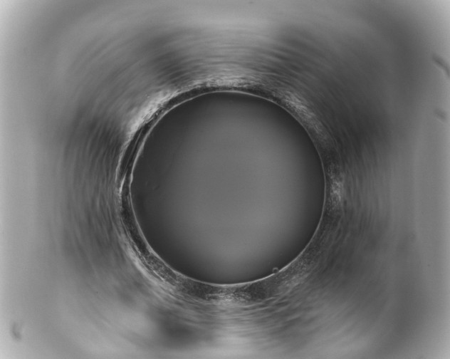 X0000100920678200807011307