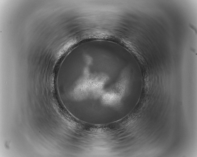 X0000100920679200807011307