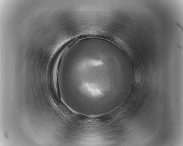 X0000100920680200807011307