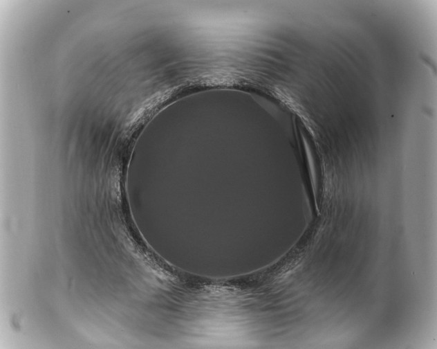 X0000100920681200807011307