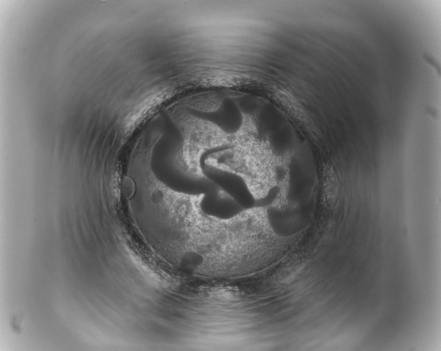 X0000100920683200807011307