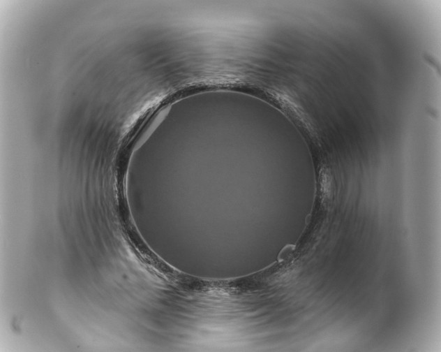 X0000100920684200807011307