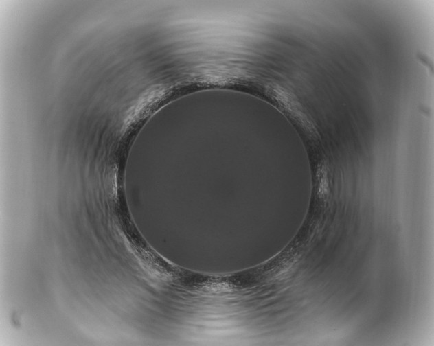 X0000100920685200807011307