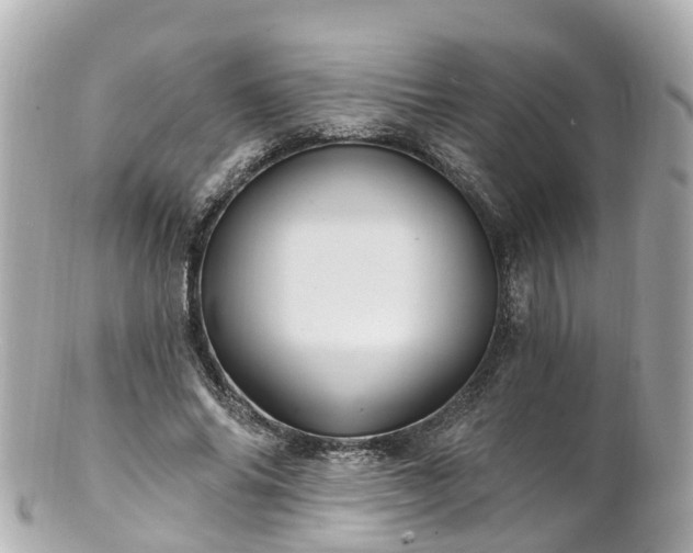 X0000100920686200807011307