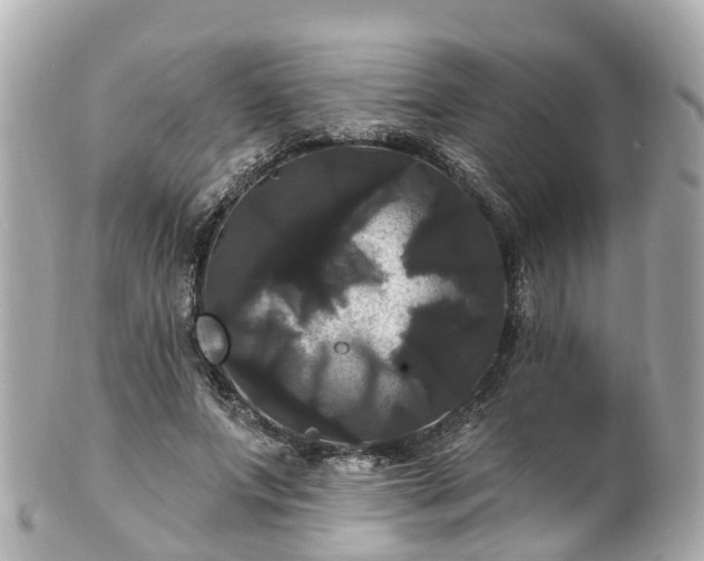 X0000100920687200807011307