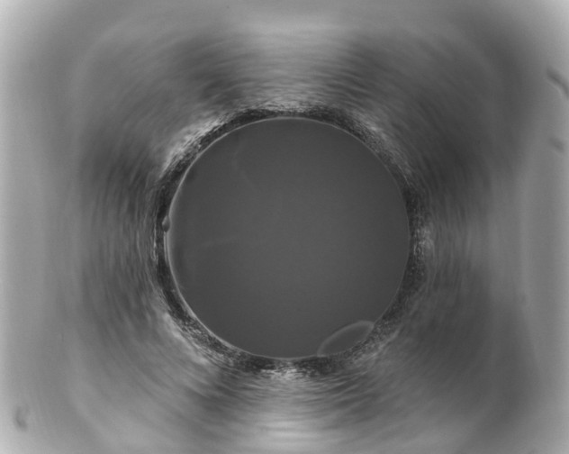 X0000100920688200807011307