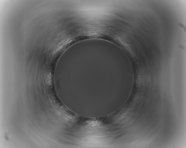 X0000100920689200807011307