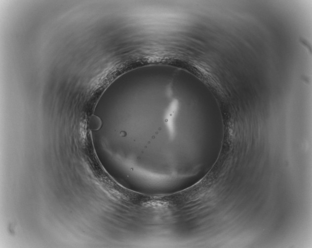 X0000100920691200807011307