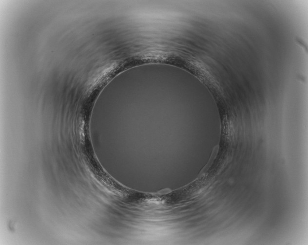 X0000100920692200807011307