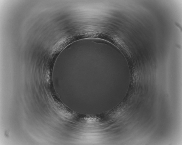 X0000100920693200807011307