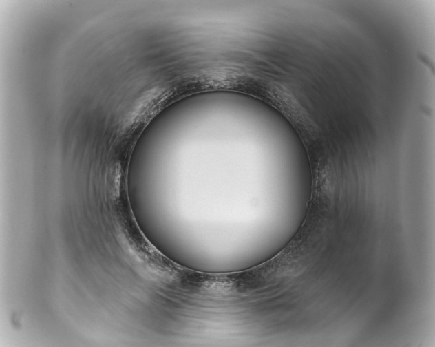 X0000100920694200807011307