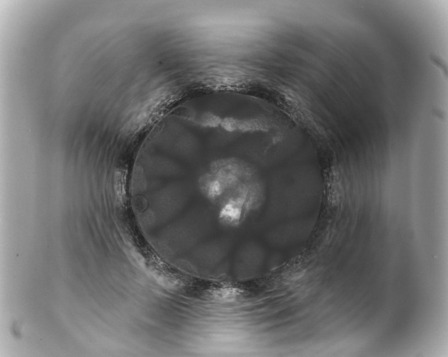 X0000100920695200807011307