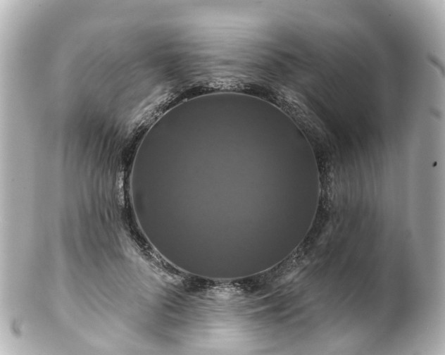 X0000100920696200807011307