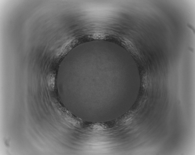 X0000100920697200807011307