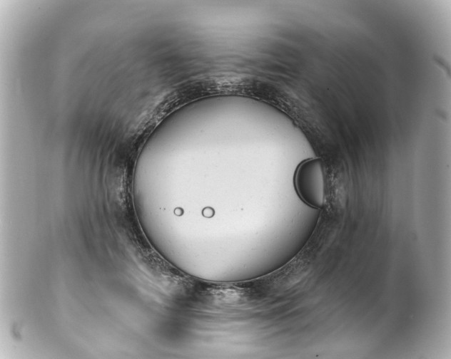 X0000100920698200807011307