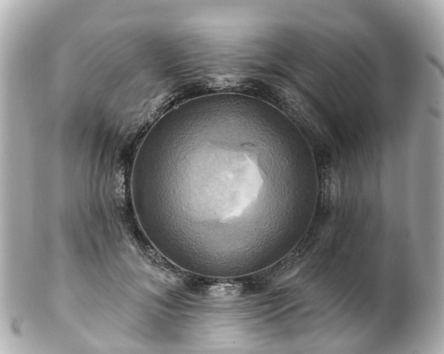 X0000100920700200807011307