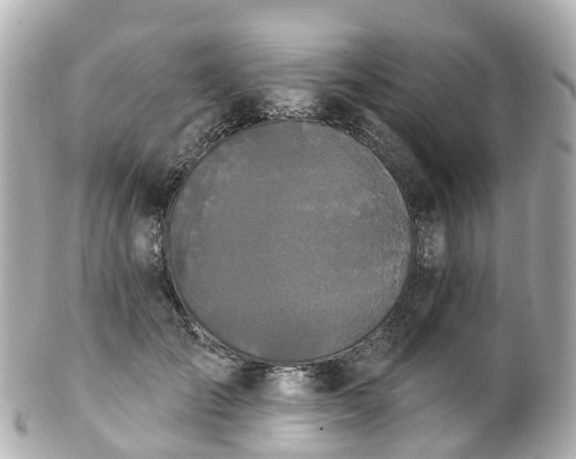 X0000100920701200807011307