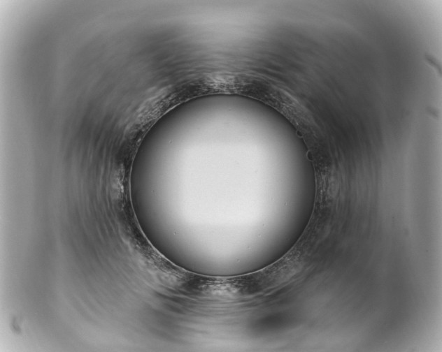 X0000100920702200807011307